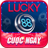qq8889  - avatar